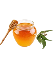 Eucalyptus Flora Honey